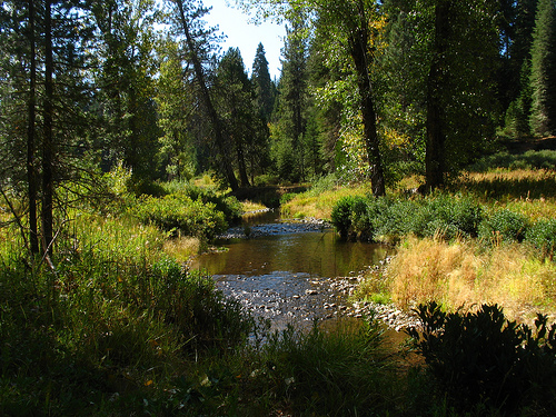 yosemite